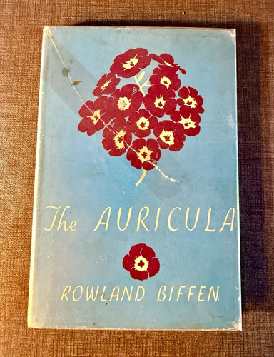 The auricula rowland biffen - h,