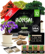 Bonsai Tree Kit Gifts for Men