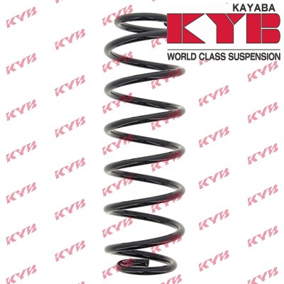 Rear coil spring ra6156 - rear, i