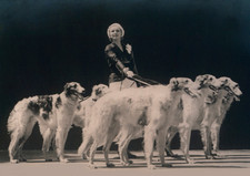 BORZOI DOG GREETING CARD