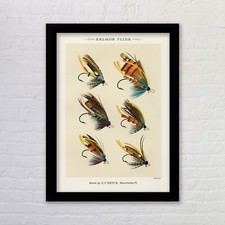 Framed Salmon Flies Fly Fishing Illustration Poster Print Fishing Wall Art