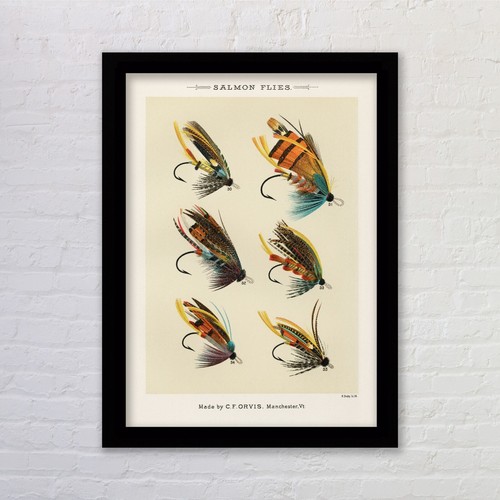 Framed salmon flies fly - framed,