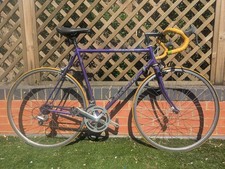 Raleigh Dynatech Road Bike