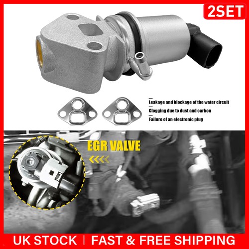 Egr valve with gasket - 2x,
