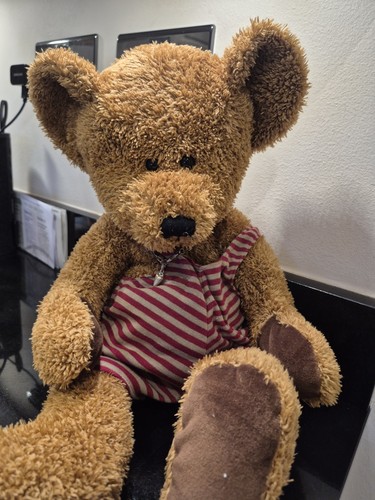 Sunkid brown teddy - teddy, bear