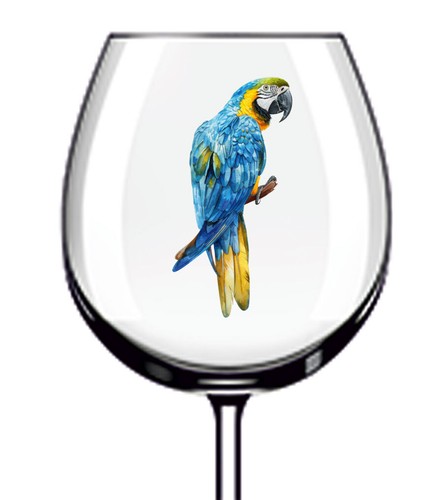 12x blue gold macaw - 12x,