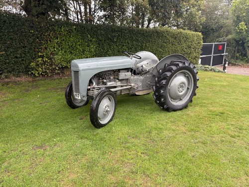Grey ferguson tractor - ferguson,