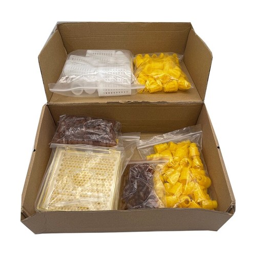 Beekeeping kit queen bee - beekeeping,
