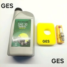 Briggs & Stratton Service Kit