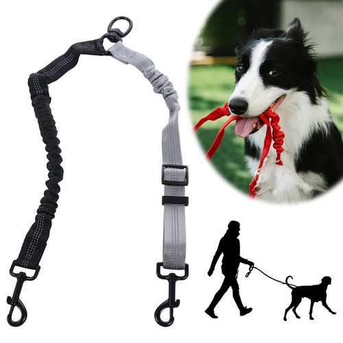 Two dog lead 360 - in, 1