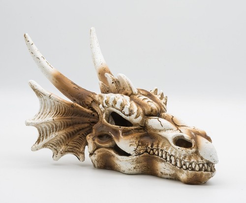 Prorep dragon skull medium - prorep,