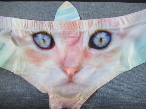 Cat novelty knickers - cat,