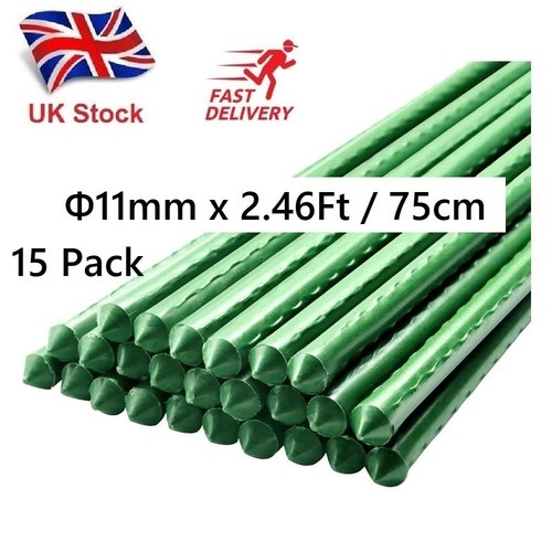 Garden plant stakes - plant,