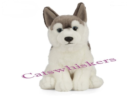 Sitting husky puppy plush soft - plush,