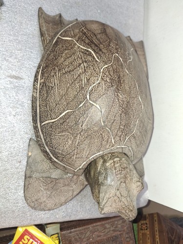 Carved wooden turtle box - turtle,