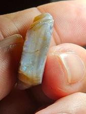 50.2cts Australian  Opal Rough gamble stone.