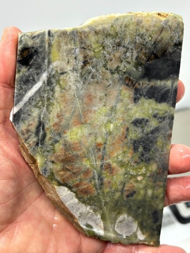 Green picasso marble - picasso, (jasper)