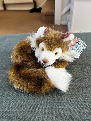 Fox curled position - curled, up