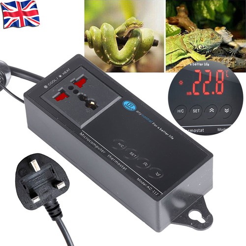 Digital reptile aquarium - digital,