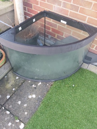 Massive triangle fish tank