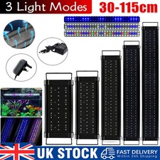 New aquarium fish tank - fish, led