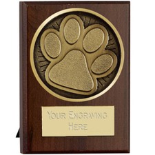 Paw Print Dog Cat Agility