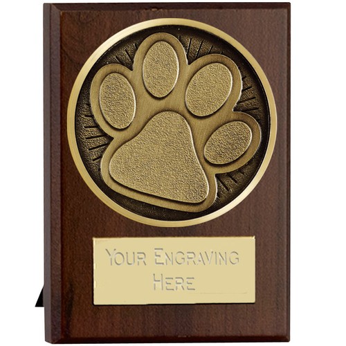 Paw print dog cat - paw, agility
