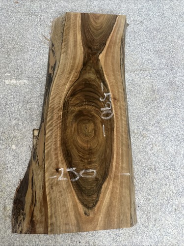 Walnut live edge slab - edge,