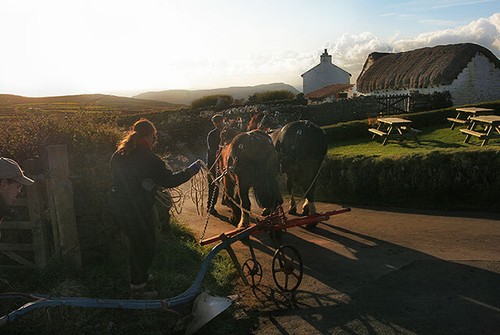 Photo 6x4 end the ploughing - photo,