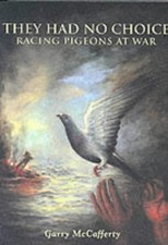 They had choice racing - had, choice: