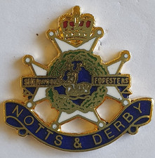 Enamel Lapel Badge The