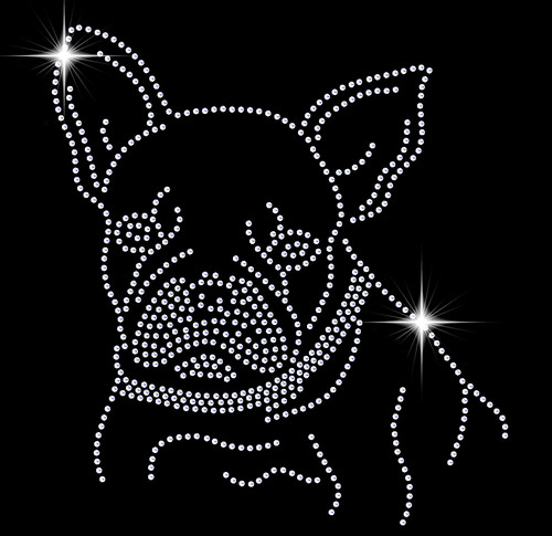 Iron french bull - on, dog