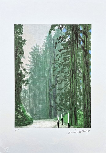 David hockney the - david, yosemite