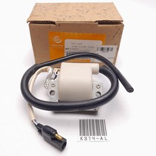 Ignition Coil May Fit Suzuki