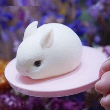 6 Cavity Rabbit Silicone Cake