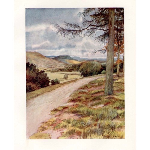 Wensleydale view from leyburn - wensleydale,