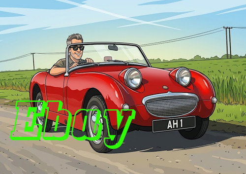Austin healey frogeye sprite - healey,