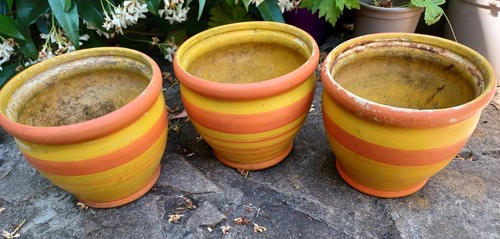 Retro vintage aged yellow - x3,
