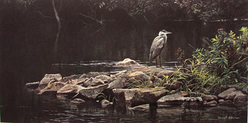 Robert bateman heron the - heron,