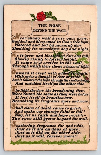 Vintage the rose beyond - vintage,