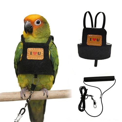 Adjustable parrot harness - adjustable,