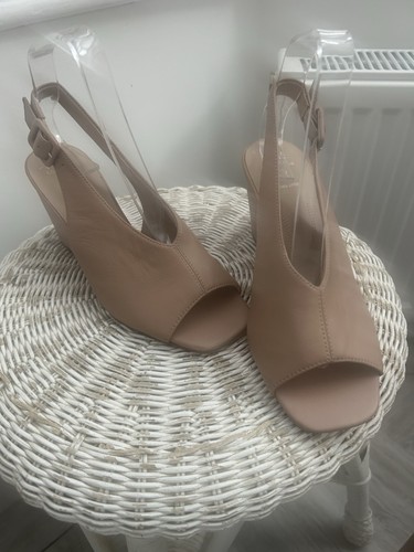 Collection ladies nude - collection,
