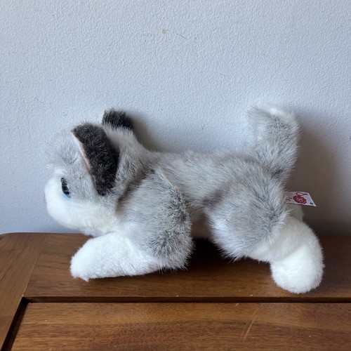 Keel husky cuddle - cuddle, puppies
