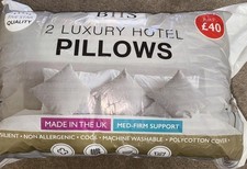 2 Luxury Hotel Pillows From