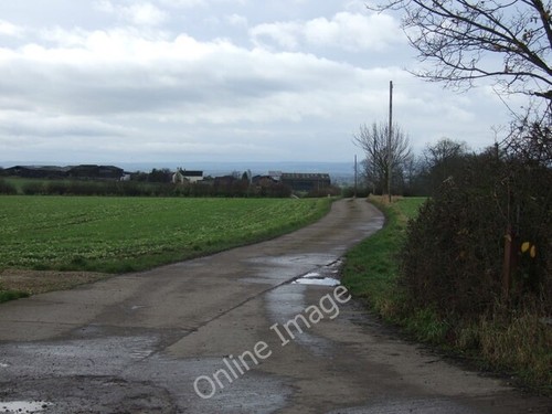 Photo 6x4 track crowtree - track,