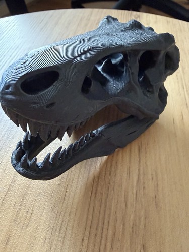 Rex skull printed - t-rex,