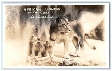 San Diego CA Postcard RPPC