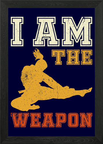 The weapon karate - am, framed