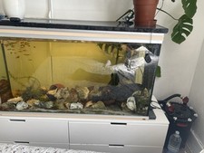 Complete aquarium with fish