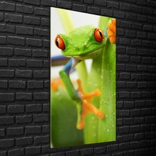 Wall Photo Picture Print on